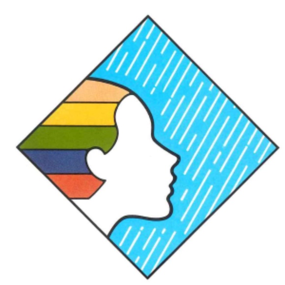 PROFESSIONAL COLOR ANALYSIS KIT FOR SALONS, STYLISTS, COLORISTS, OR ANYONE! - Picture 6 of 16